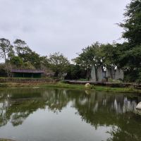 評論圖片 6