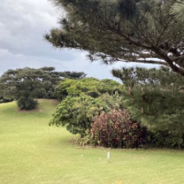 評論圖片 3