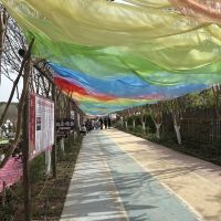 評論圖片 2