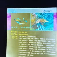 評論圖片 8
