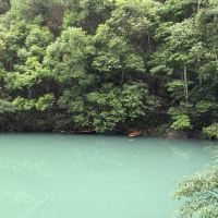 評論圖片 1
