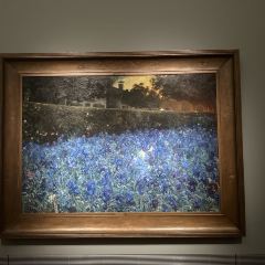 Rijksmuseum User Photo