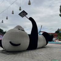 評論圖片 3