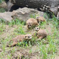 評論圖片 6