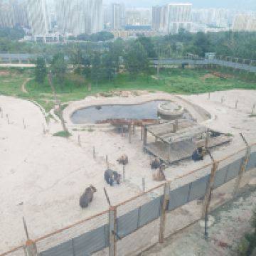 評論圖片 8