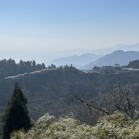 評論圖片 7