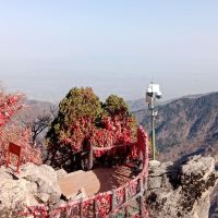 評論圖片 1