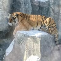 評論圖片 4