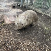 評論圖片 3