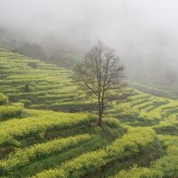 評論圖片 2