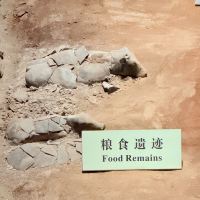 評論圖片 3
