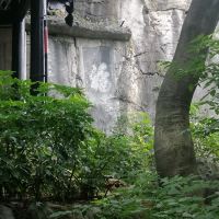 評論圖片 1