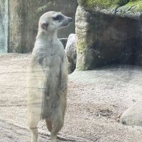 評論圖片 6