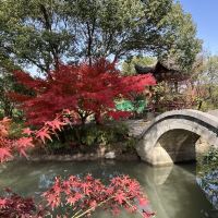 評論圖片 4