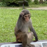 評論圖片 3