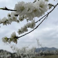評論圖片 5