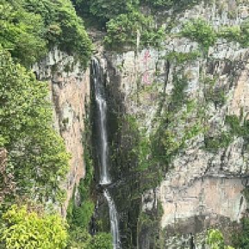 評論圖片 6