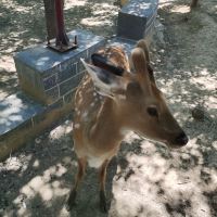 評論圖片 3