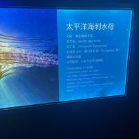 評論圖片 6