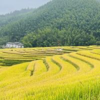 評論圖片 3
