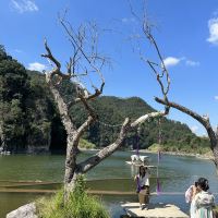 評論圖片 5