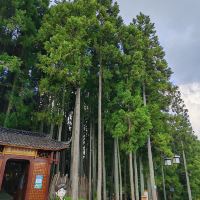 評論圖片 3