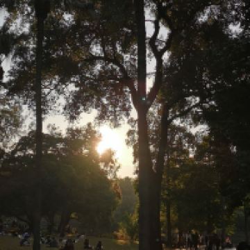 評論圖片 8