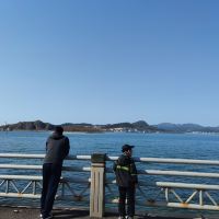 評論圖片 6