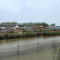 評論圖片 8
