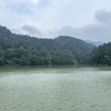 評論圖片 8