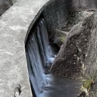 評論圖片 2