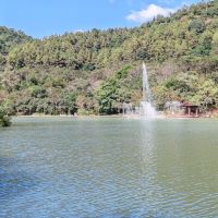評論圖片 5