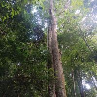 評論圖片 3