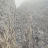評論圖片 4