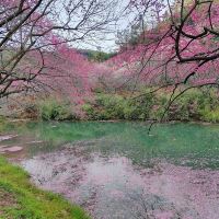 評論圖片 7
