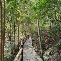 評論圖片 3