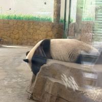 評論圖片 4