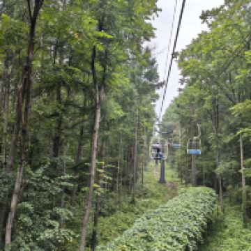 評論圖片 1