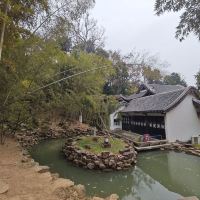 評論圖片 3