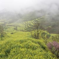 評論圖片 3