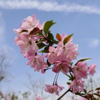評論圖片 6