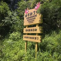 評論圖片 3