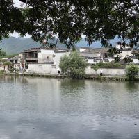 評論圖片 1