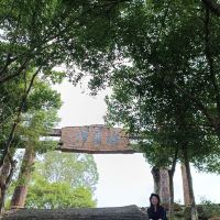 評論圖片 2