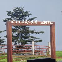 評論圖片 7