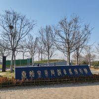 評論圖片 8