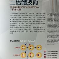 評論圖片 4