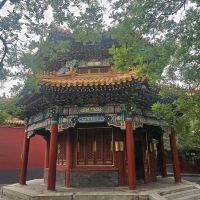 評論圖片 6