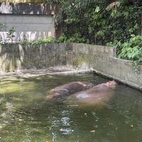 評論圖片 6