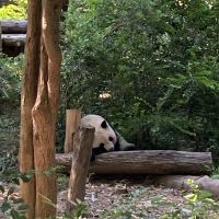 評論圖片 6